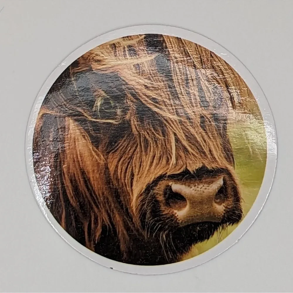 Highland Cow Sticker - Picture 1 of 1